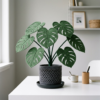 Modern Monstera Crochet Plant for Home Office Desk