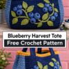 Sage Meadow Placemat and Napkin Ring Crochet Pattern