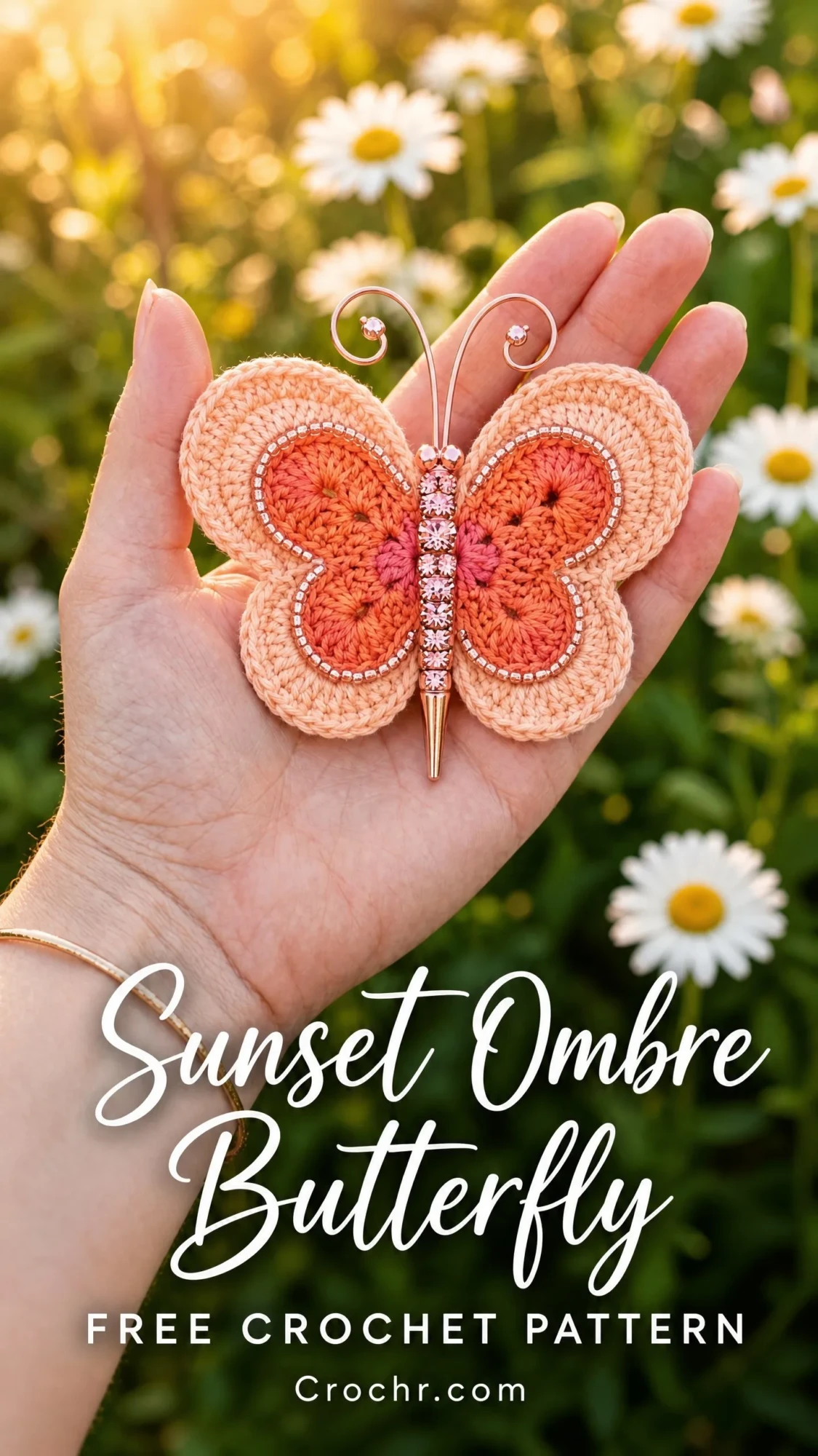 Sunset Ombre Butterfly Free Crochet Pattern