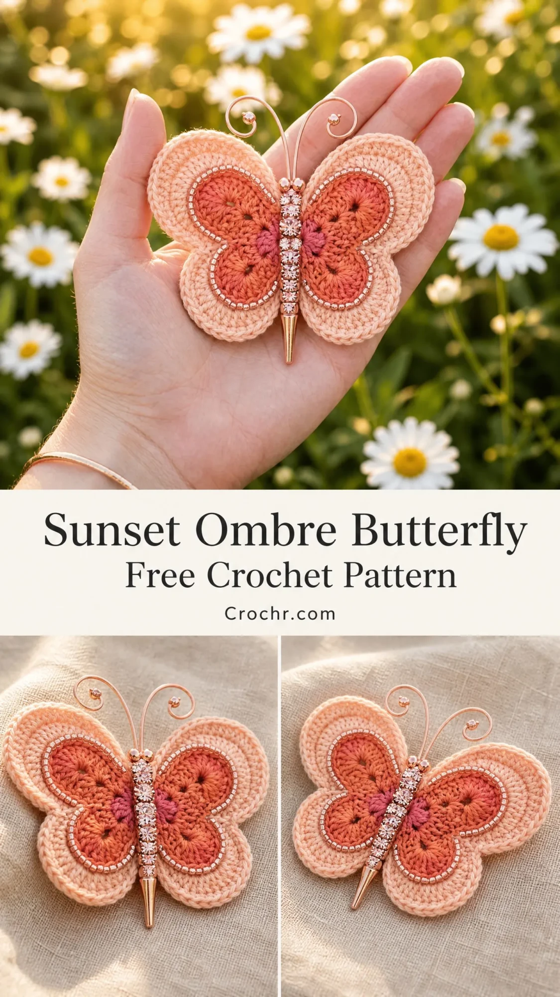 Sunset Ombre Butterfly Free Crochet Pattern